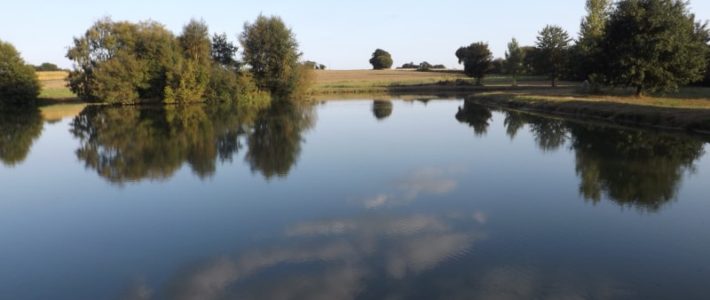 concours de pêche