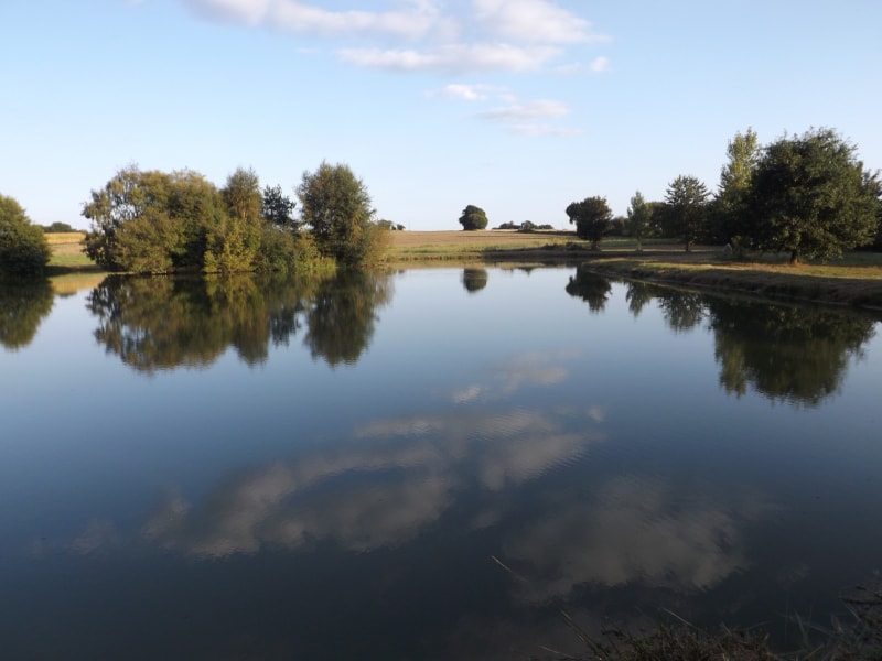 concours de pêche