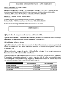 Conseil Municipal du 8 mars 2021